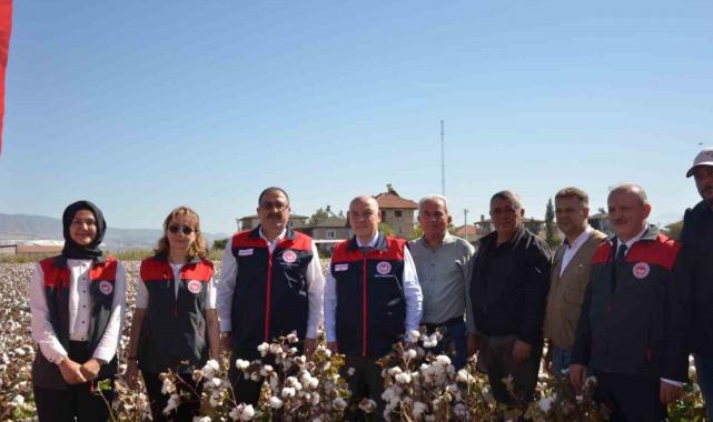 Denizli’de pamuk hasadı başladı