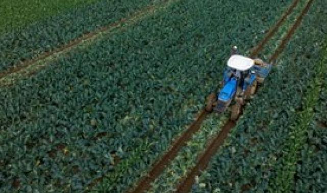 Dünya Bankası, Türkiye için 35 milyar dolarlık fonu artırmayı düşünüyor