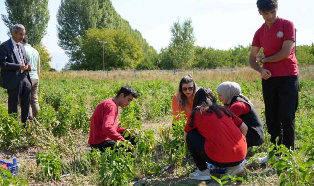 Erzincan’da meslek lisesi öğrencileri hem öğreniyor hem de kazanıyorlar