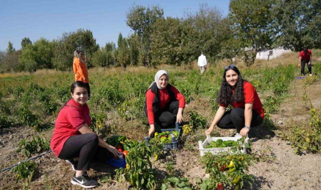 Erzincan’da meslek lisesi öğrencileri hem öğreniyor hem de kazanıyorlar