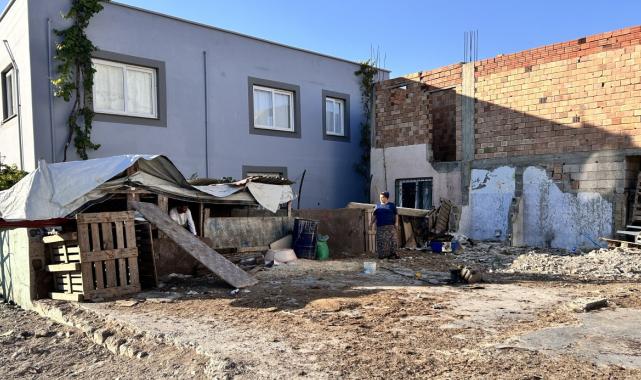 Hatay'da depremzede vatandaşın 22 küçükbaş hayvanı çalındı