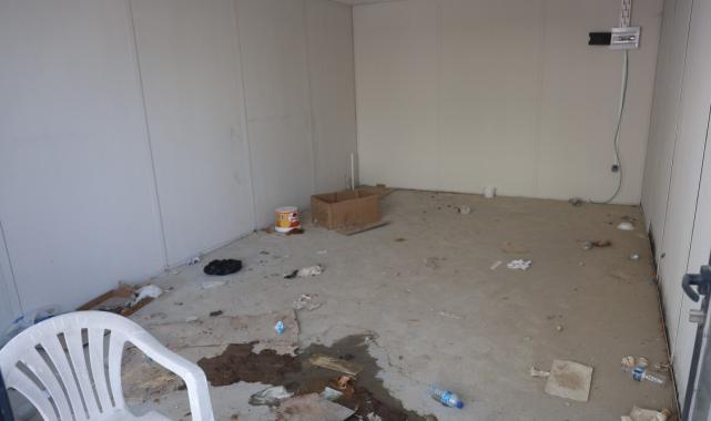 Hatay'da skandal: İş yerinin kapısını açıp kedileri köpeklere parçalattı