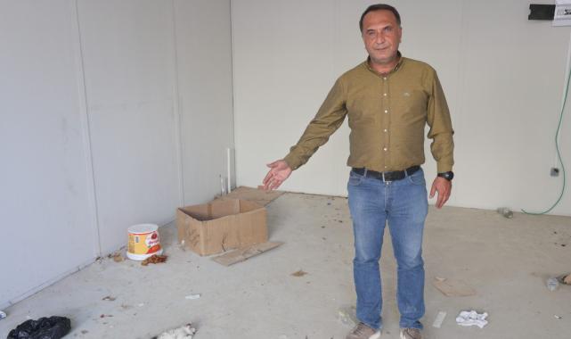 Hatay'da skandal: İş yerinin kapısını açıp kedileri köpeklere parçalattı