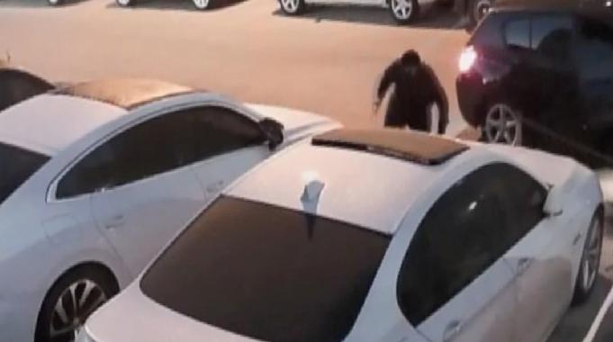 İstanbul'da hayalet ekran hırsızlarına polis baskını