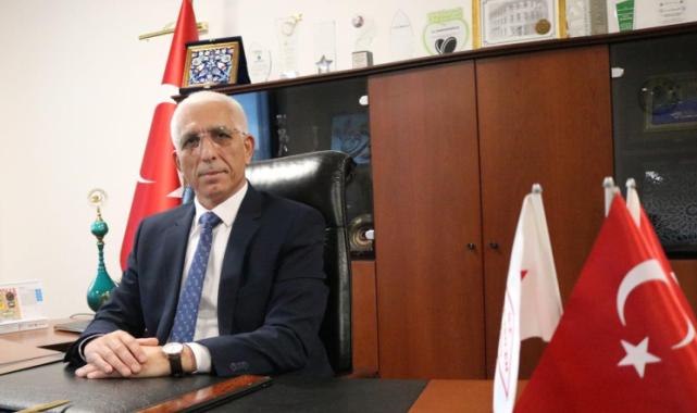 İşte zeytinin 1 kg maliyeti!