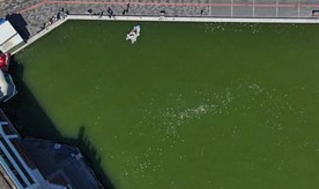 İzmir Körfezi'nin temizlenmesi için ilk adım atıldı