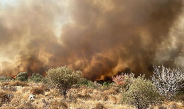 İzmir'deki orman yangını kontrol altına alındı