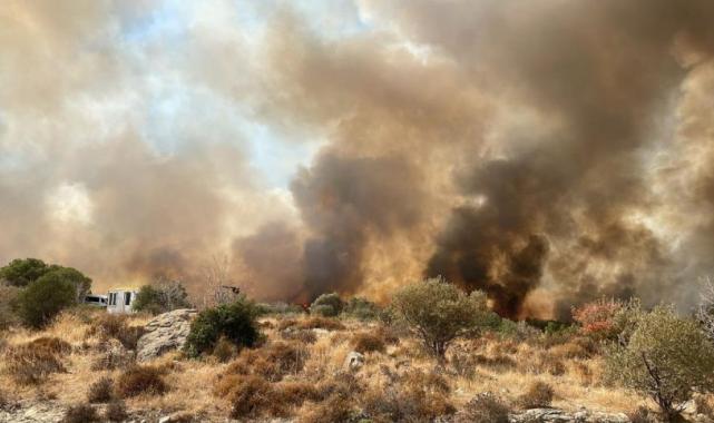İzmir'deki orman yangını kontrol altına alındı