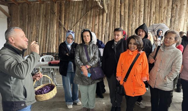 Karabük, Safranbolu'da safranın kilosu 320 bin lira