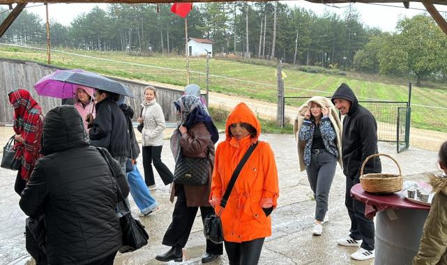 Karabük, Safranbolu'da safranın kilosu 320 bin lira