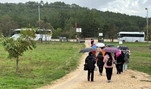 Karabük, Safranbolu'da safranın kilosu 320 bin lira