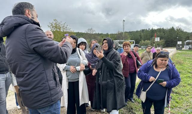 Karabük, Safranbolu'da safranın kilosu 320 bin lira
