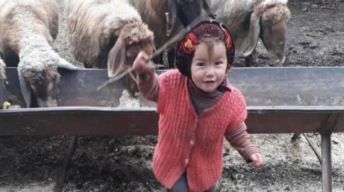 Karaman'da Müslüme Yağal'ın mezarına zarar verildi