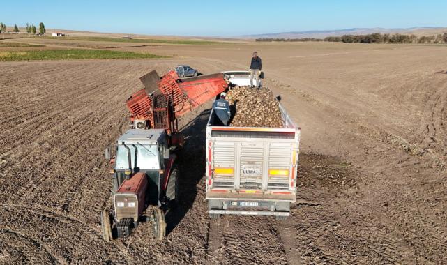 Kırıkkale’de kuraklık şeker pancarının rekoltesini etkiledi