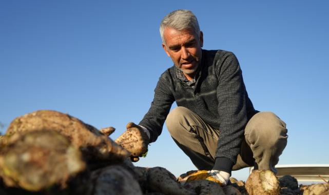 Kırıkkale’de kuraklık şeker pancarının rekoltesini etkiledi