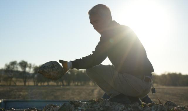 Kırıkkale’de kuraklık şeker pancarının rekoltesini etkiledi