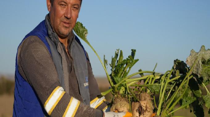 Kırıkkale’de kuraklık şeker pancarının rekoltesini etkiledi