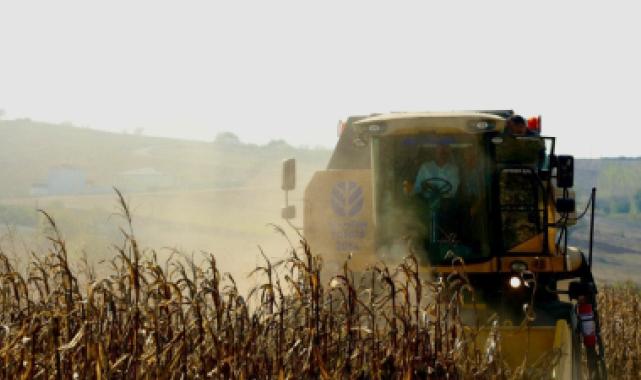 Kocaeli destekledi, üreticinin yüzü güldü