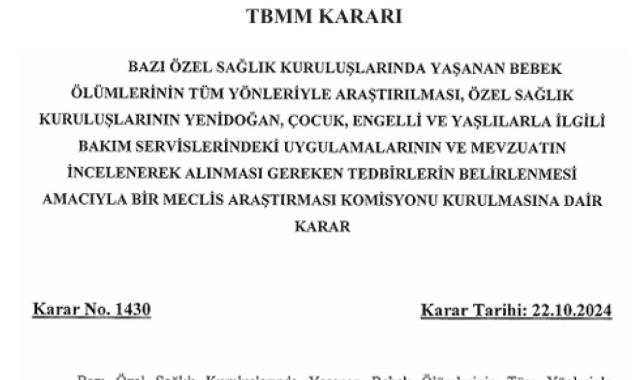 Meclis Araştırma Komisyonu kararı Resmi Gazete'de: Bebek ölümleri araştırılacak