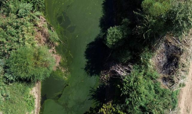 Murat Kurum talimat vermişti! Eğirdir Gölü eylem planı devrede