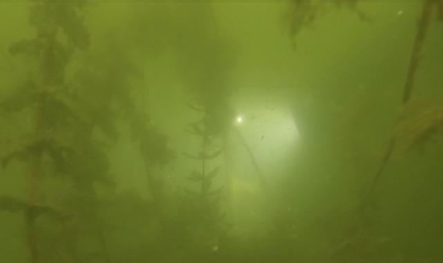 Murat Kurum talimat vermişti! Eğirdir Gölü eylem planı devrede