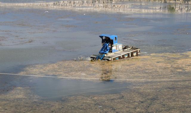 Murat Kurum talimat vermişti! Eğirdir Gölü eylem planı devrede