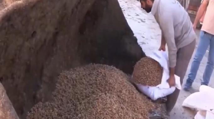 Şanlıurfa'da Suriye’den gelen tırda 79 ton ceviz içi ele geçirildi