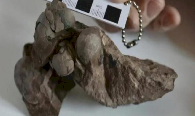 80 milyon yıllık dinozor yumurtaları keşfedildi