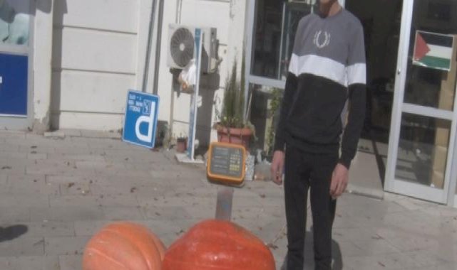 Ankara'da muhtar, bahçesinde 50 kiloluk dev kabak yetiştirdi