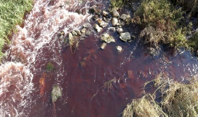 Bursa Ovası'nı besleyen dere, kırmızıya büründü