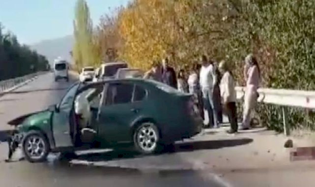Isparta'da otomobille domuza çarptılar