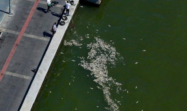 İzmir Körfezi için uygulanacak acil ve kısa vadeli eylem planı hazır