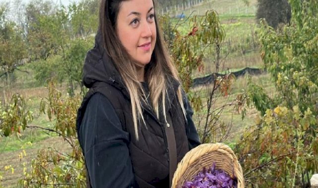 Karabük, Safranbolu'da safranın kilosu 320 bin lira