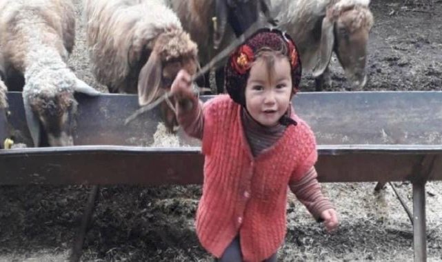 Karaman'da Müslüme Yağal'ın mezarına zarar verildi