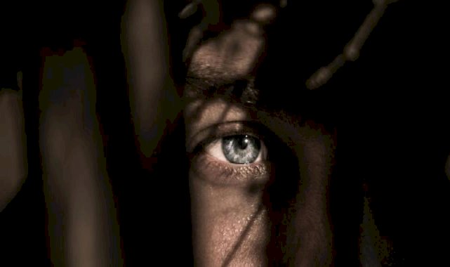 Korku filmi seviyorsanız bu kitabı da okuyun; 12 yazardan tüyleri diken diken eden kitap