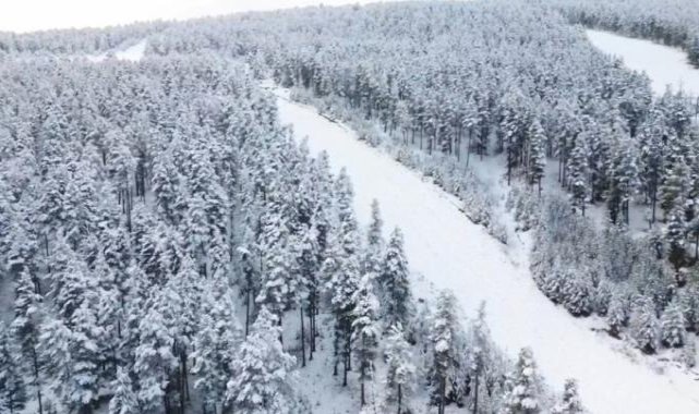 Sarıkamış'ta kış manzaraları