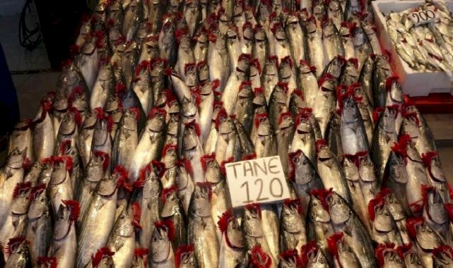 Trabzon'da hava şartları palamudun fiyatını artırdı