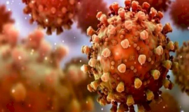 Ülkede ölümcül Marburg virüsü alarmı! Tedavisi yok