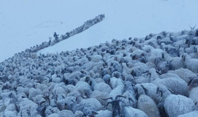 Van'ın İran sınırında kar kalınlığı 20 santimetreye ulaştı