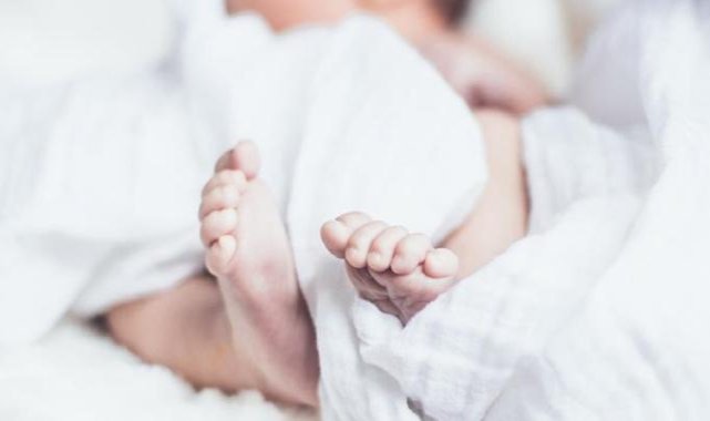 Yenidoğan Çetesi'nin soruşturmayı denetçiden öğrendiği ortaya çıktı