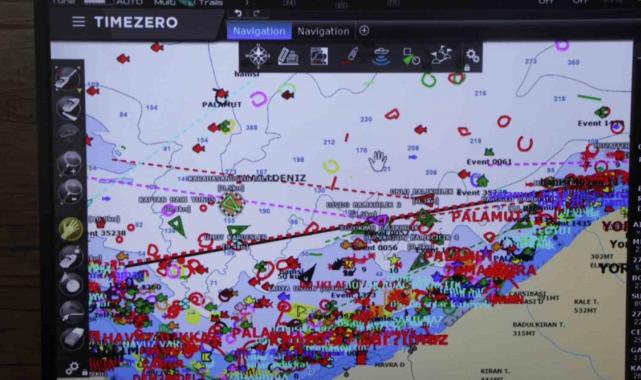 Trabzon'da balıkçıların gözü hamside