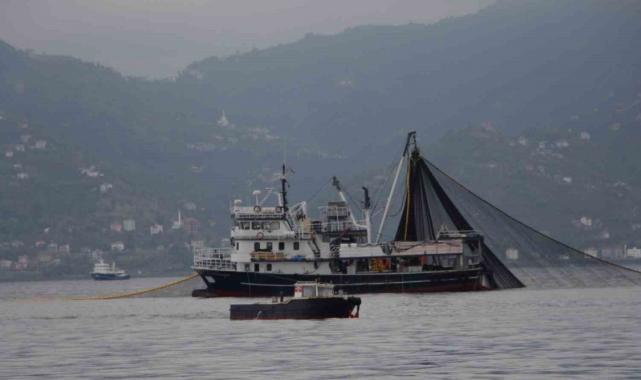 Trabzon'da balıkçıların gözü hamside