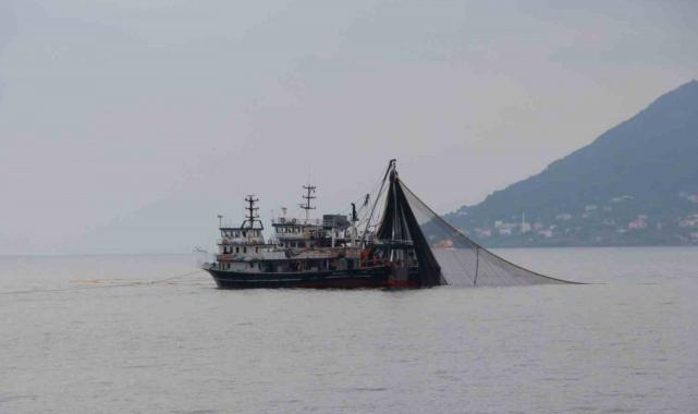 Trabzon'da balıkçıların gözü hamside