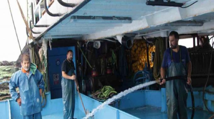 Trabzon'da balıkçıların gözü hamside