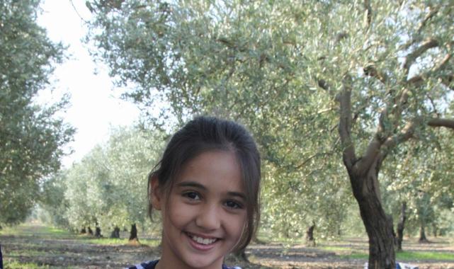 Türk sofralık zeytini ihracatta, dolar bazında yüzde 46 değerlendi