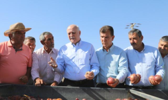 TZOB: Patates ve kuru soğana müdahale şart!