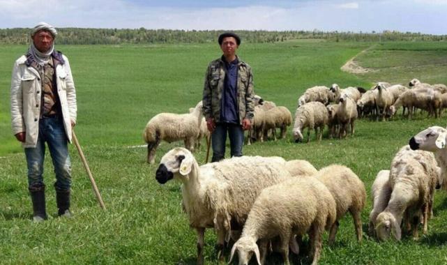 Üreticiyi 'ithal çalışan' konusunda rahatlatacak adım: Yabancı çalışanların çalışma süreci düzenlendi