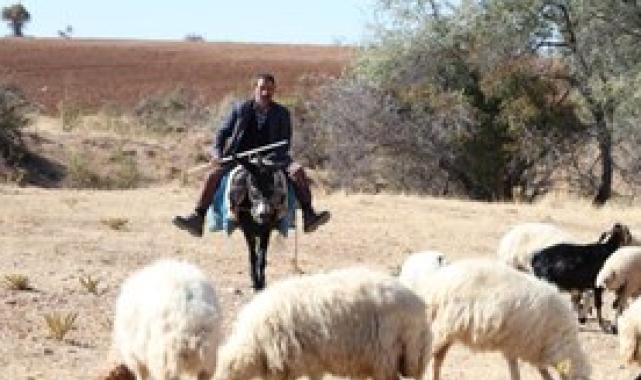 Üreticiyi 'ithal çalışan' konusunda rahatlatacak adım: Yabancı çalışanların çalışma süreci düzenlendi