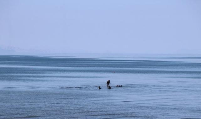Van'da kaybolan Rojin'den haber yok