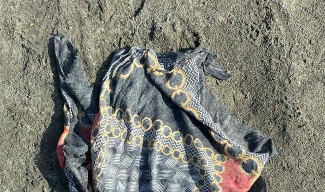 Van'da Rojin'i arama çalışmaları sürüyor